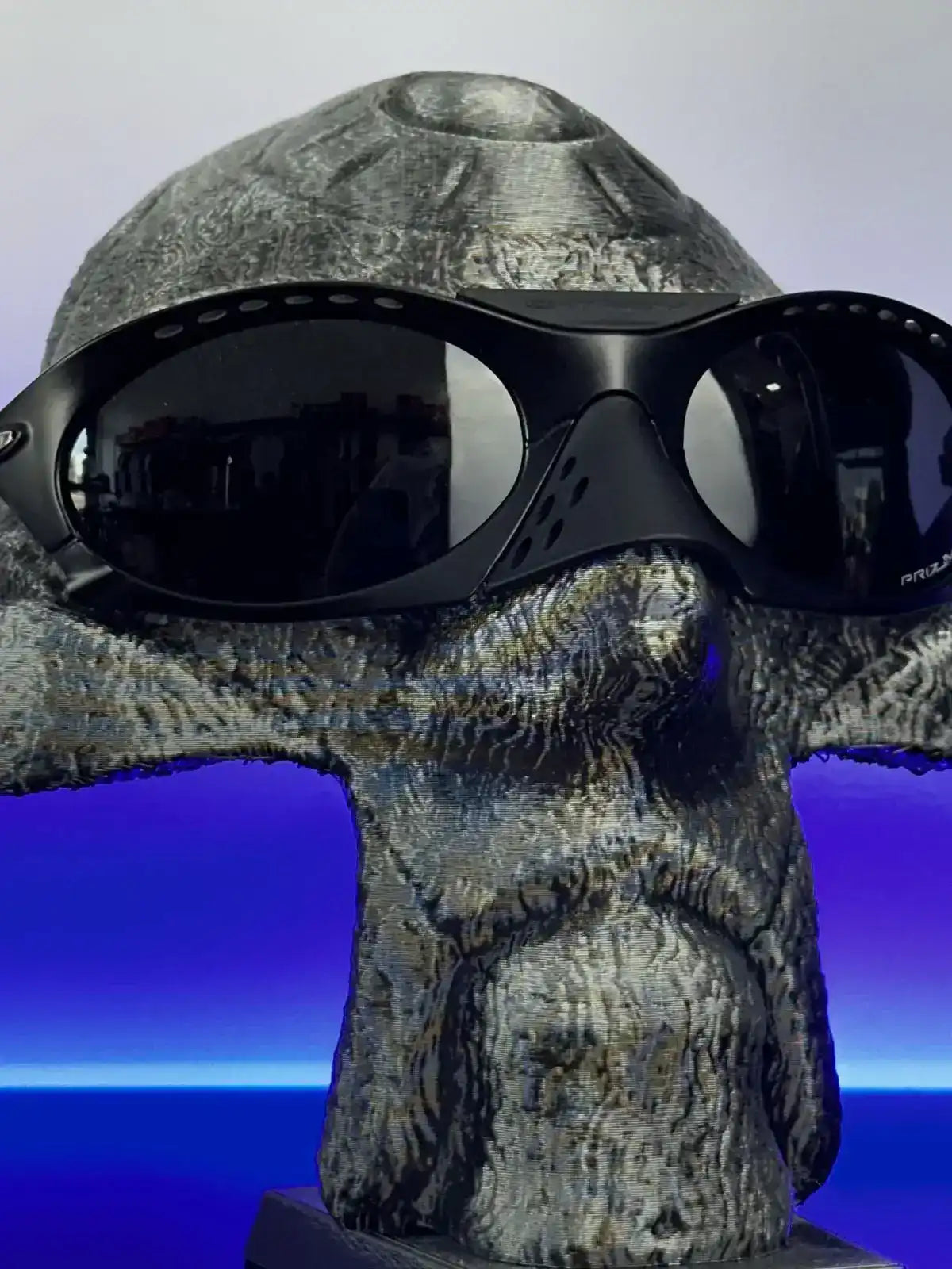 ÓCULOS OAK PLANTARIS BLACK