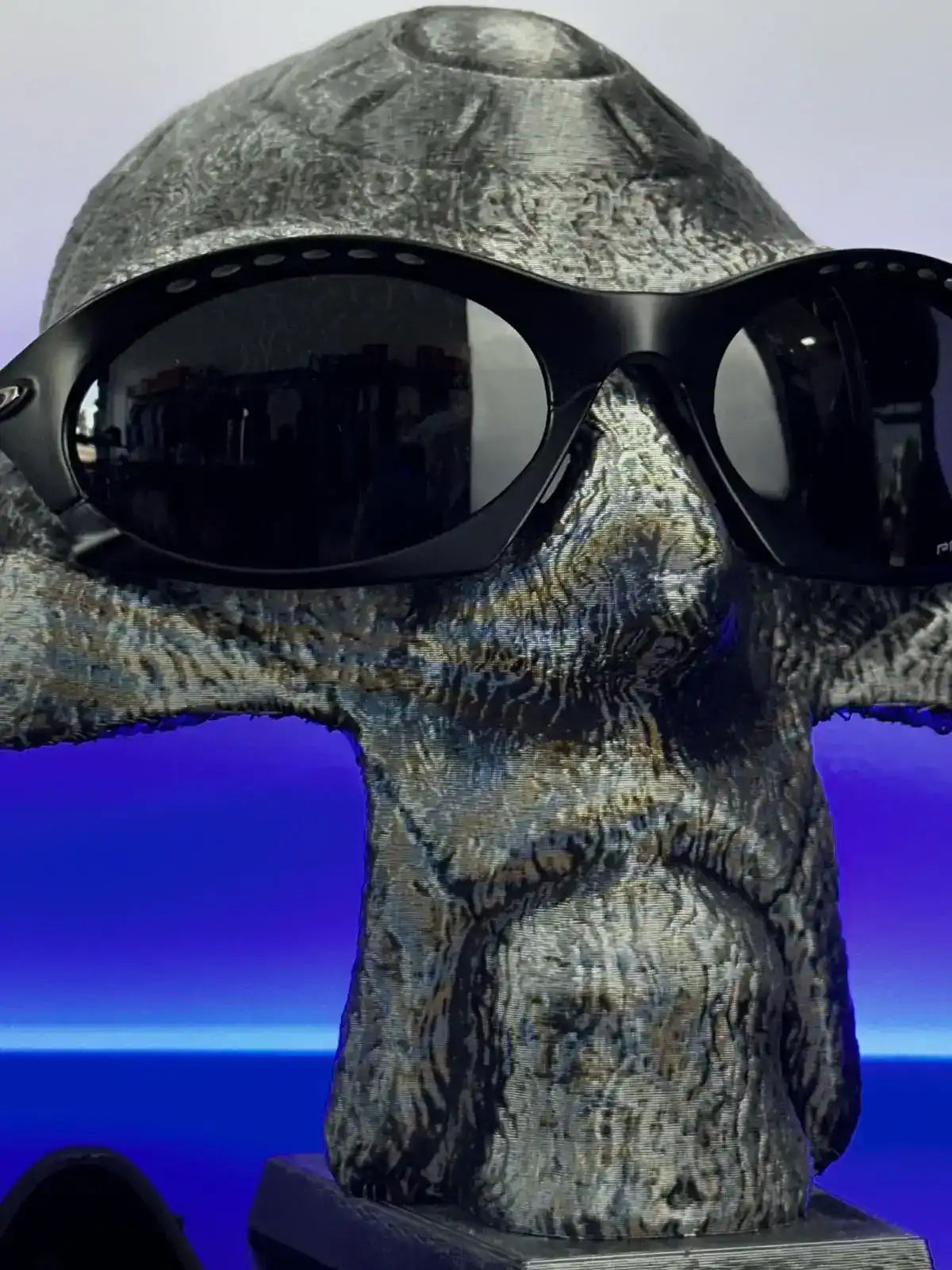 ÓCULOS OAK PLANTARIS BLACK