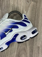 TÊNIS NK AIR MAX PLUS TN - WILD FADE GRAPE