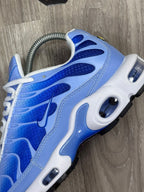 TÊNIS NK AIR MAX PLUS TN - UNIVERSITY